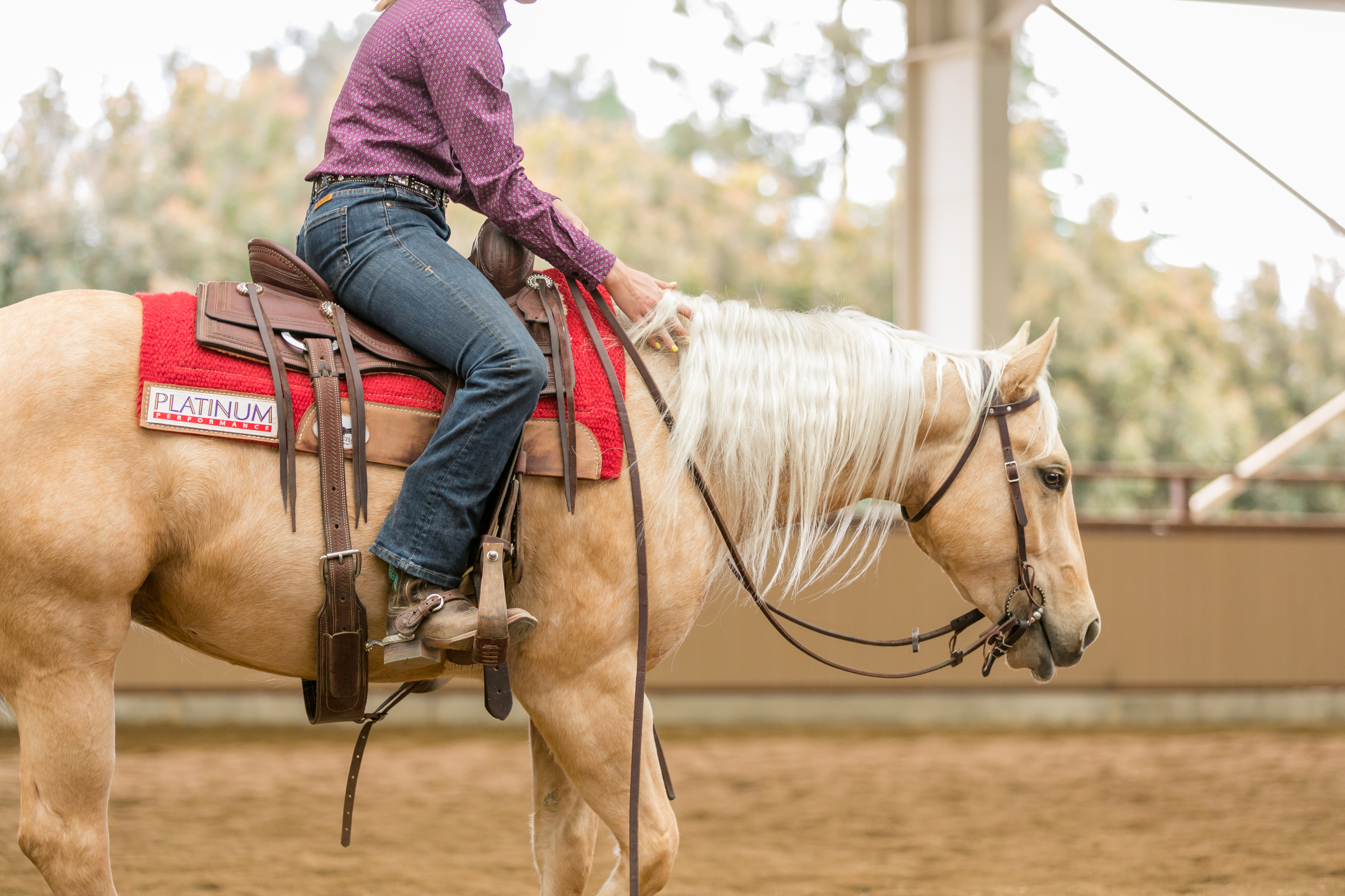 SJR Go Diamonds Performance Horse Sales Cal Poly, San Luis Obispo